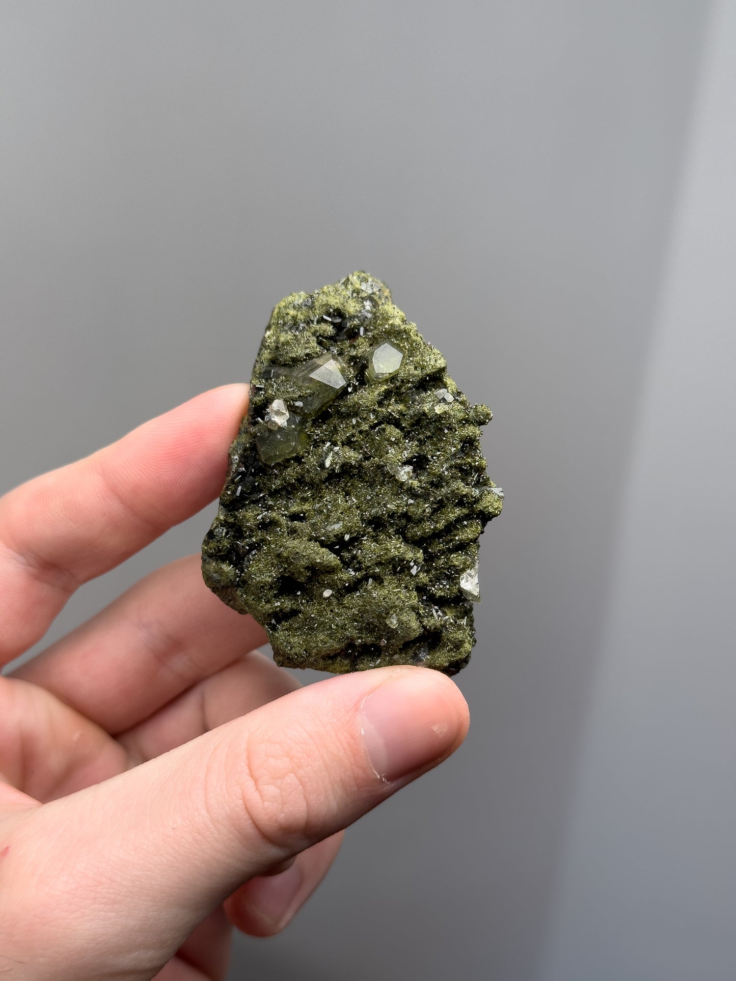 Forest epidote with quartz