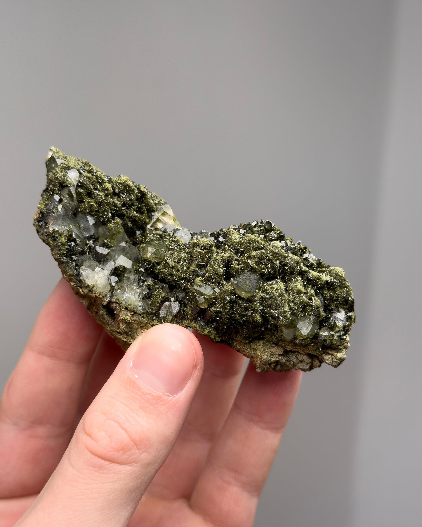 Forest epidote with quartz