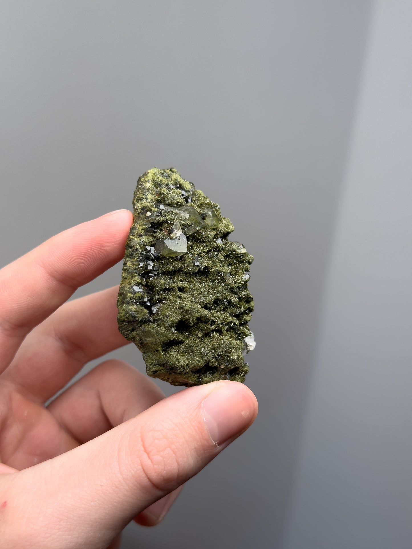 Forest epidote with quartz