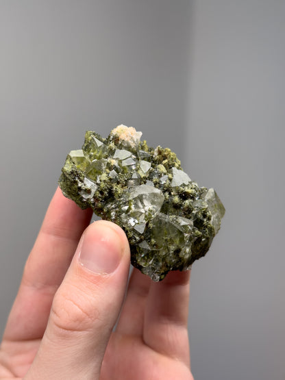 Forest epidote with quartz