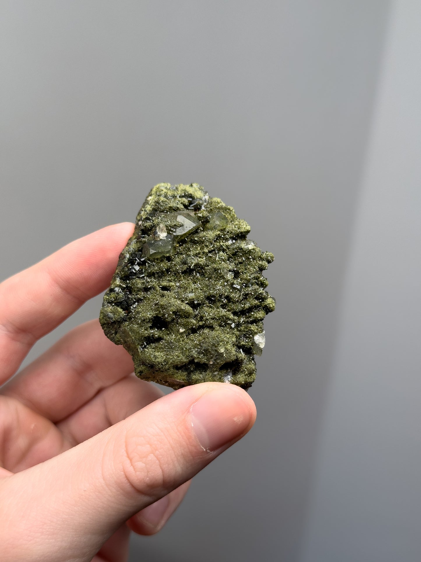 Forest epidote with quartz