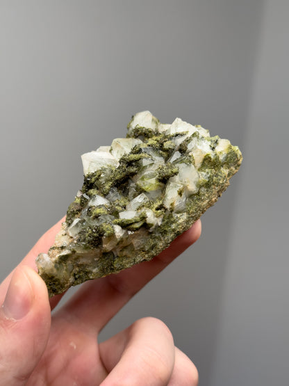 Forest epidote with quartz