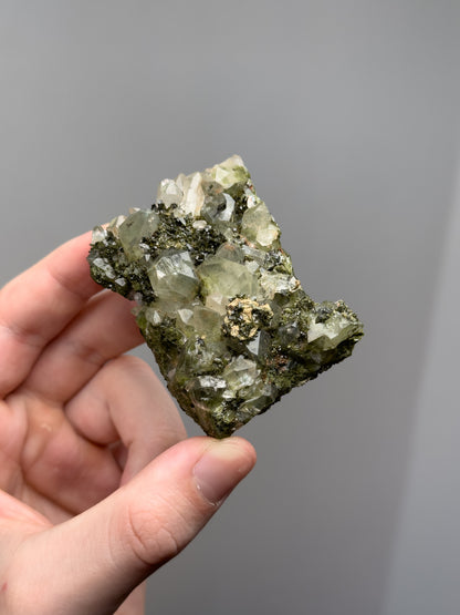 Forest epidote with quartz