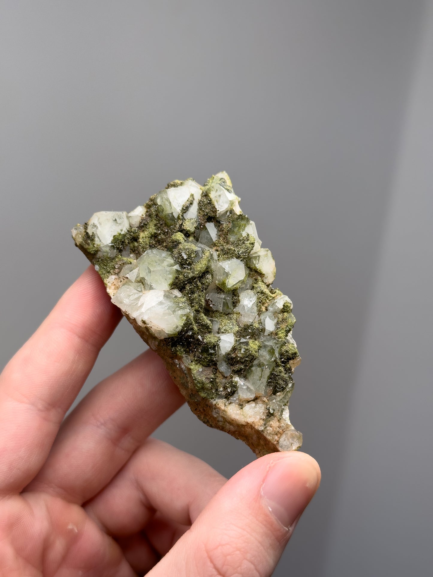 Forest epidote with quartz