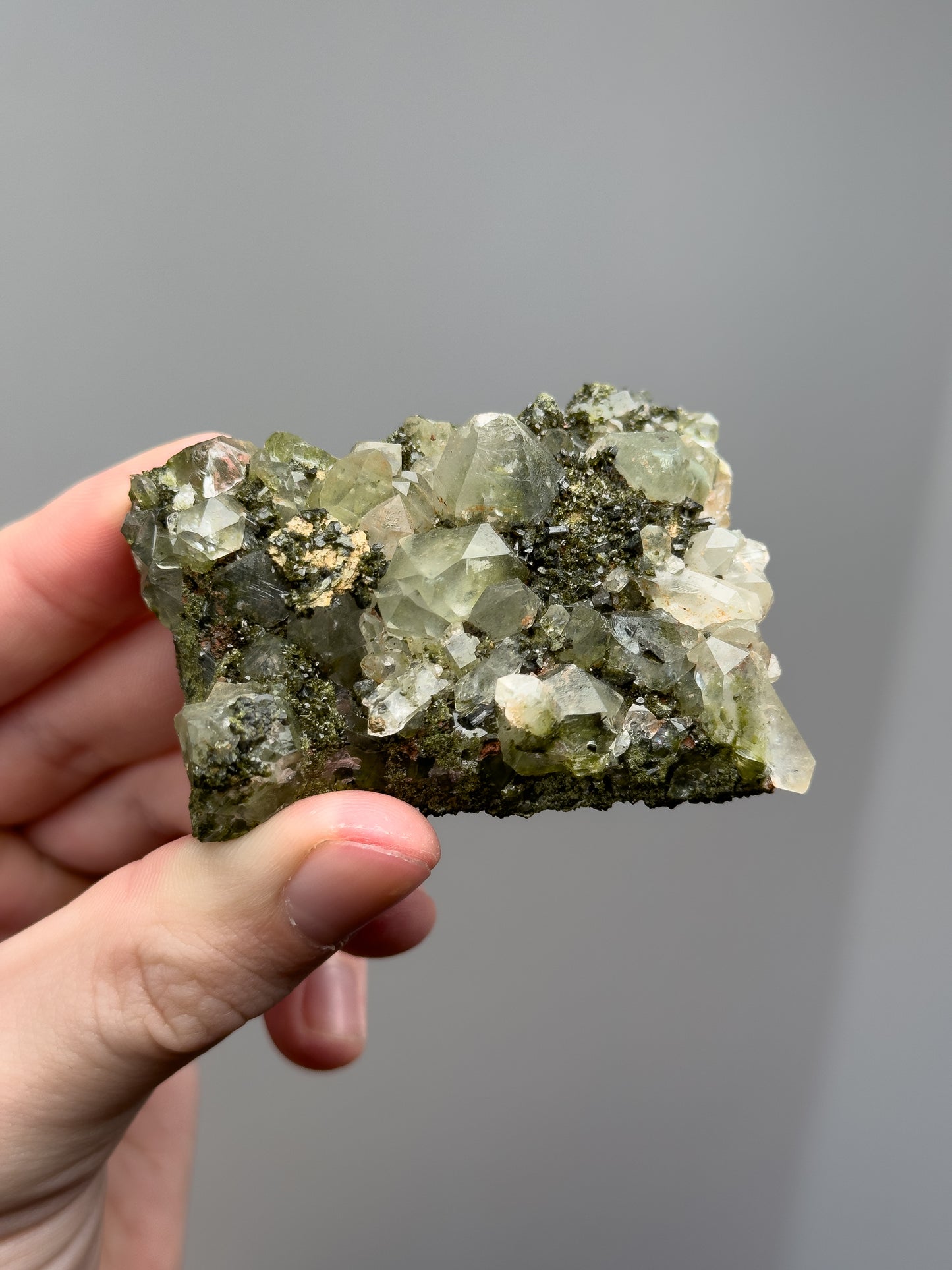 Forest epidote with quartz