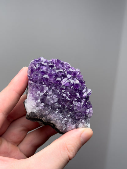 Amethyst cluster