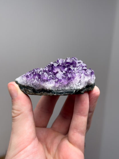 Amethyst cluster