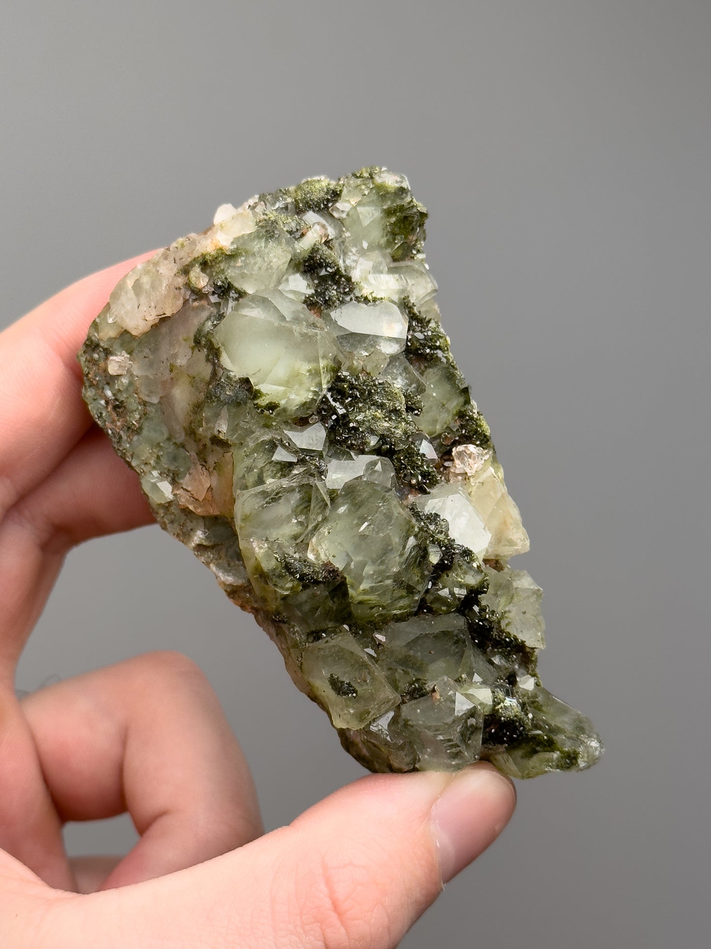 Forest epidote with quartz