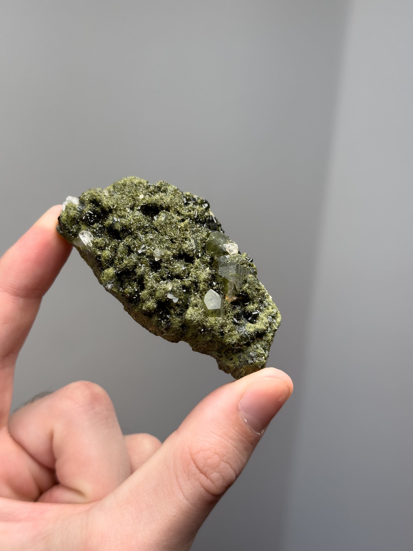 Forest epidote with quartz