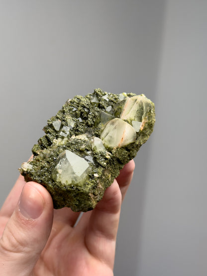 Forest epidote with quartz