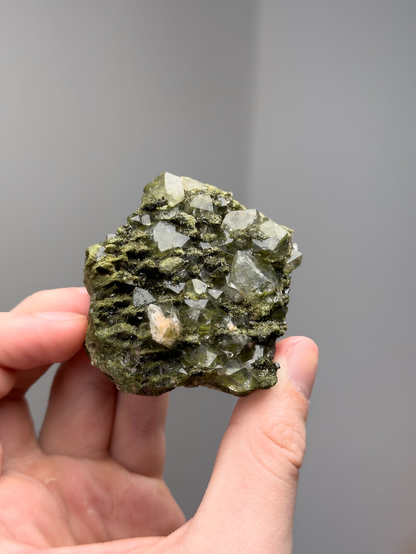 Forest epidote with quartz