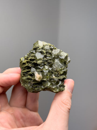 Forest epidote with quartz