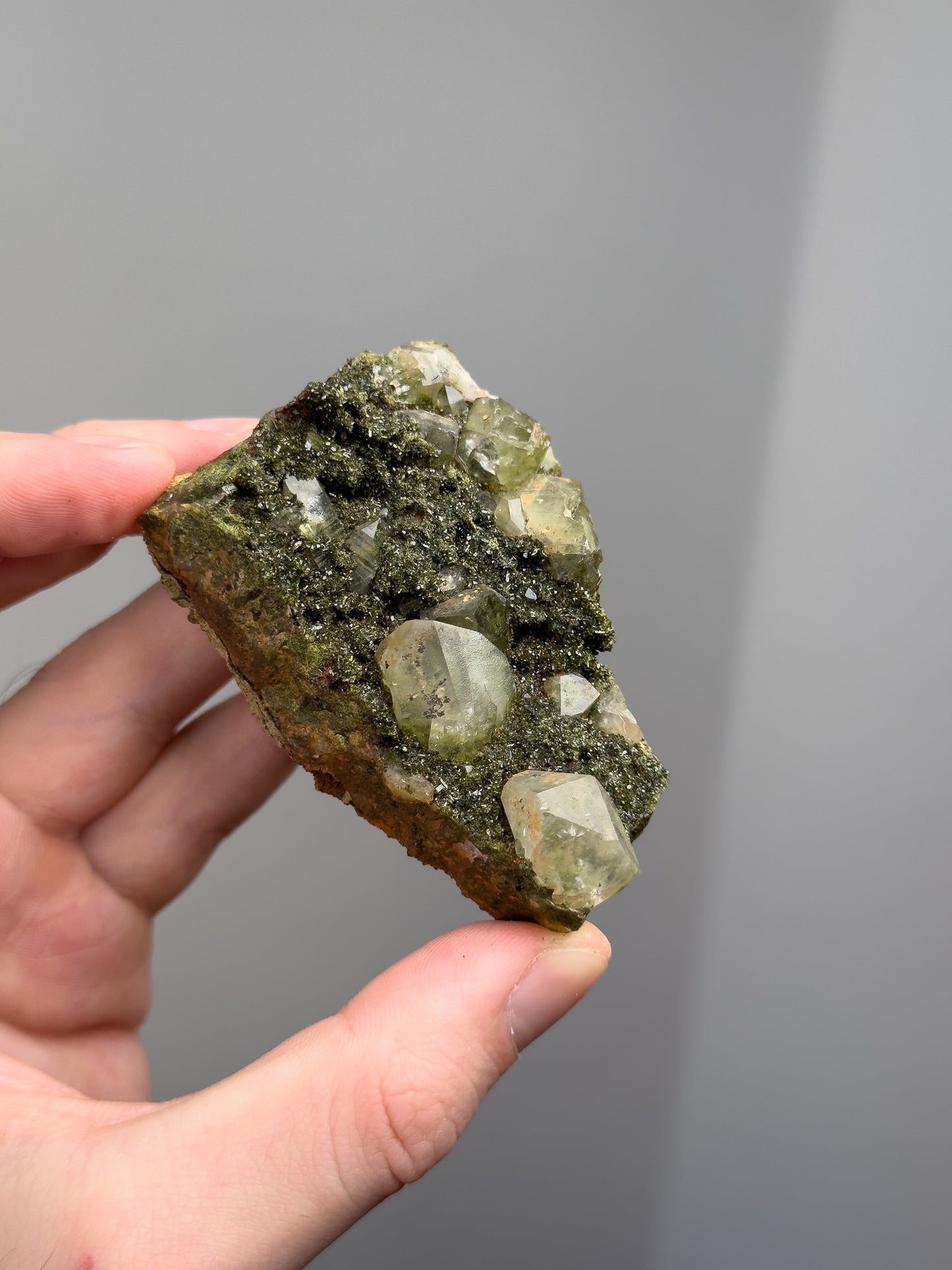 Forest epidote with quartz