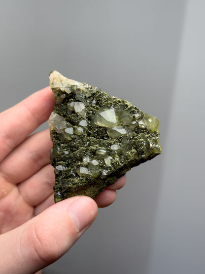 Forest epidote with quartz