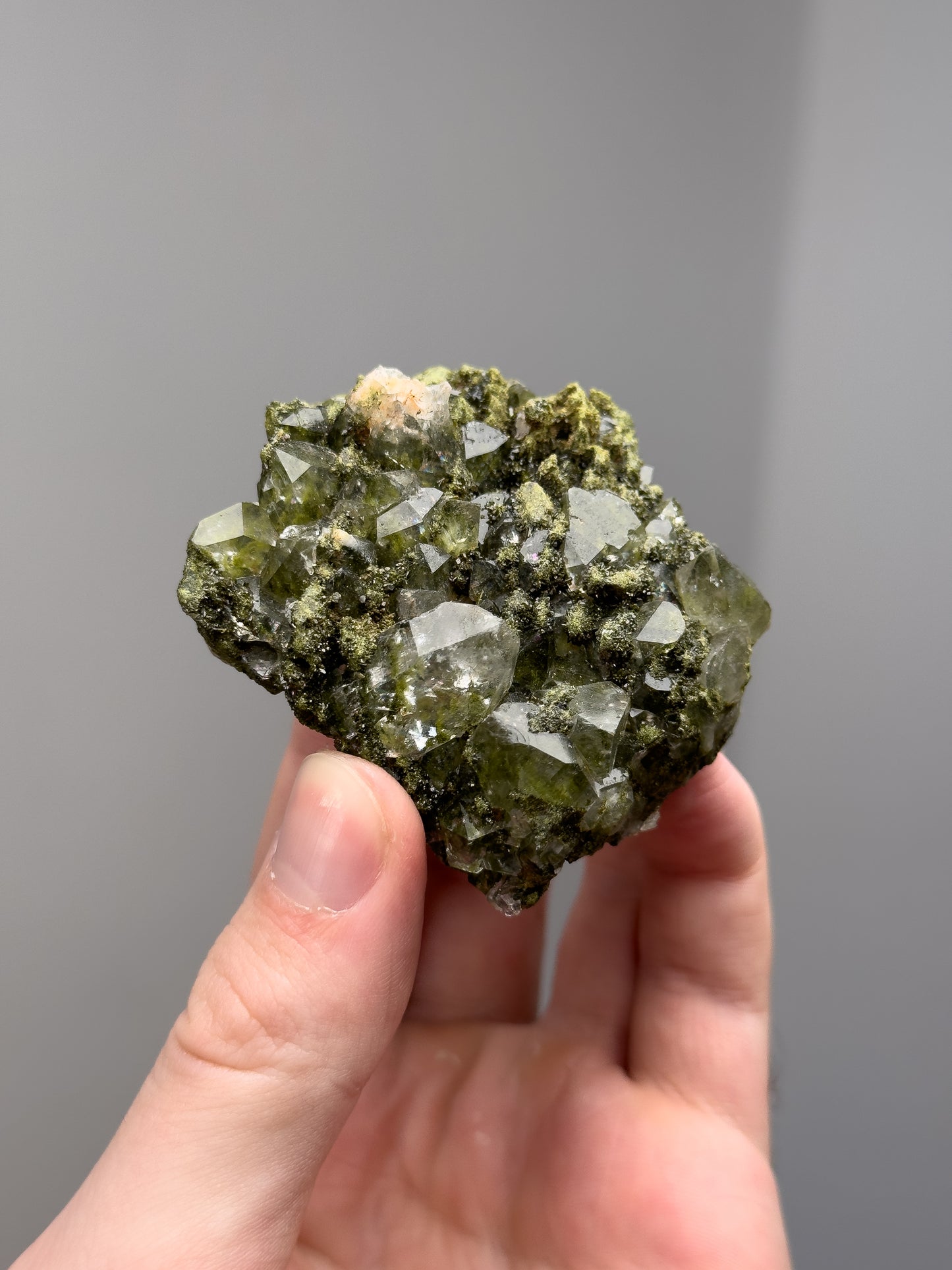 Forest epidote with quartz