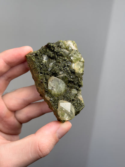 Forest epidote with quartz