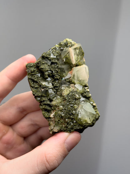 Forest epidote with quartz