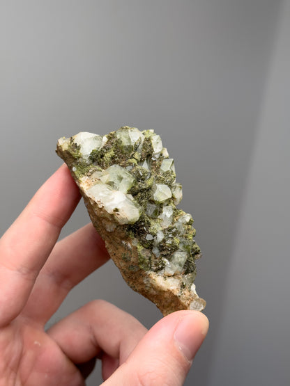 Forest epidote with quartz