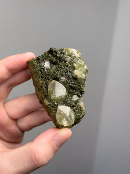 Forest epidote with quartz