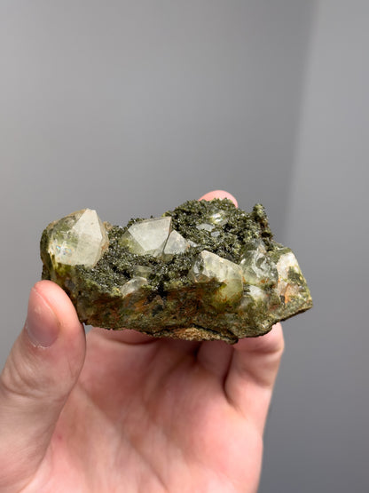 Forest epidote with quartz