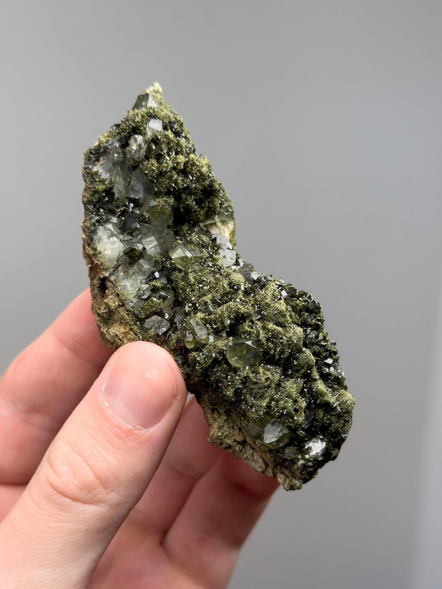 Forest epidote with quartz