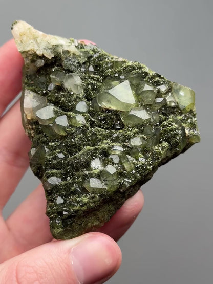 Forest epidote with quartz