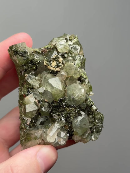 Forest epidote with quartz