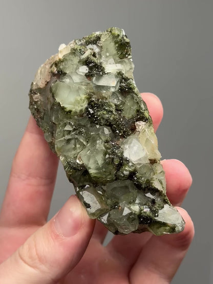 Forest epidote with quartz