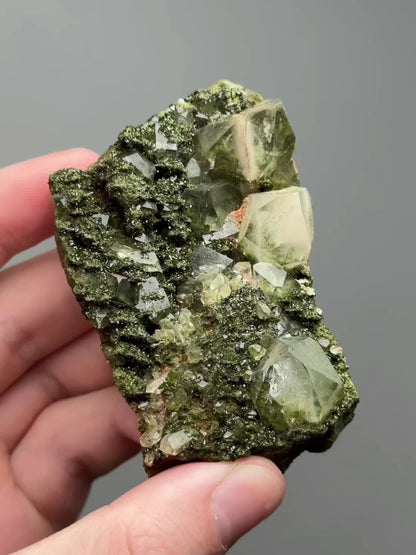 Forest epidote with quartz