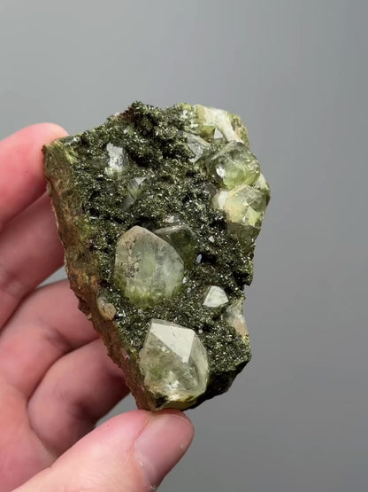 Forest epidote with quartz