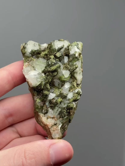 Forest epidote with quartz