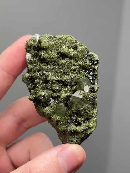 Forest epidote with quartz