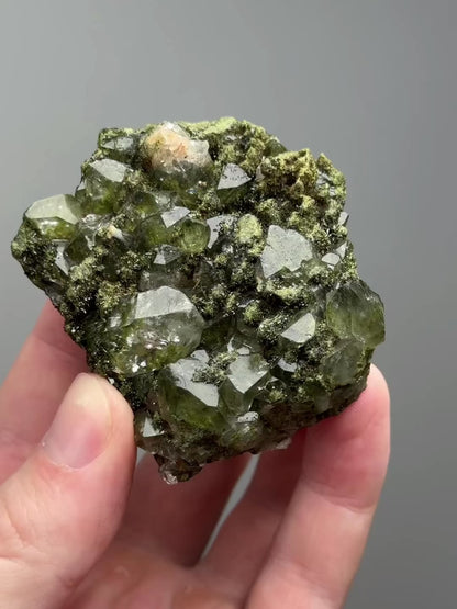 Forest epidote with quartz