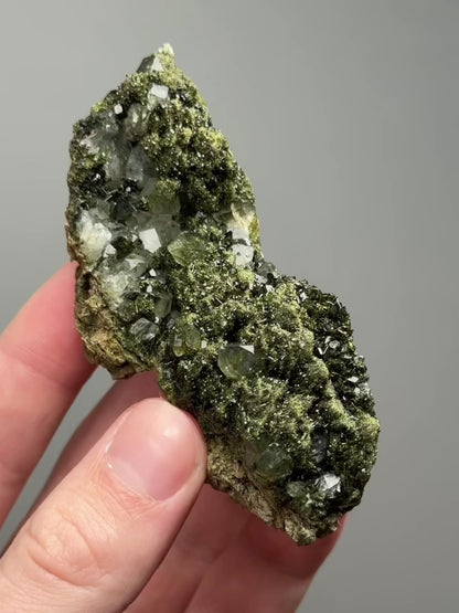 Forest epidote with quartz